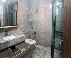 Van Holland (D10), Condominium #606565101